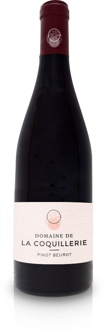 Pinot Beurot